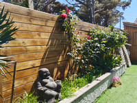 Propriété à vendre à Lacanau, Gironde - 997 500 € - photo n°10