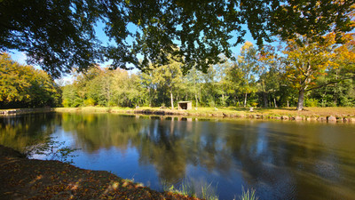 Terrain à vendre à Tinchebray-Bocage, Orne, Basse-Normandie, avec Leggett Immobilier