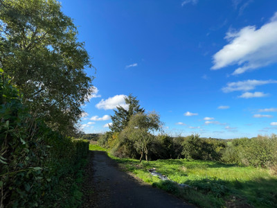 French property for sale in Saint-Connan, Côtes-d'Armor - €299,600 - photo 3