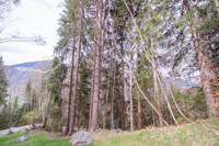 Terrain à vendre à Courchevel, Savoie - 21.600 € - photo 8