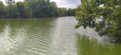 French property for sale in Beaupouyet, Dordogne - €530,000 - photo 2