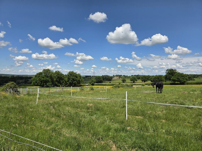 French property for sale in Bourbon-l'Archambault, Allier - €419,000 - photo 8