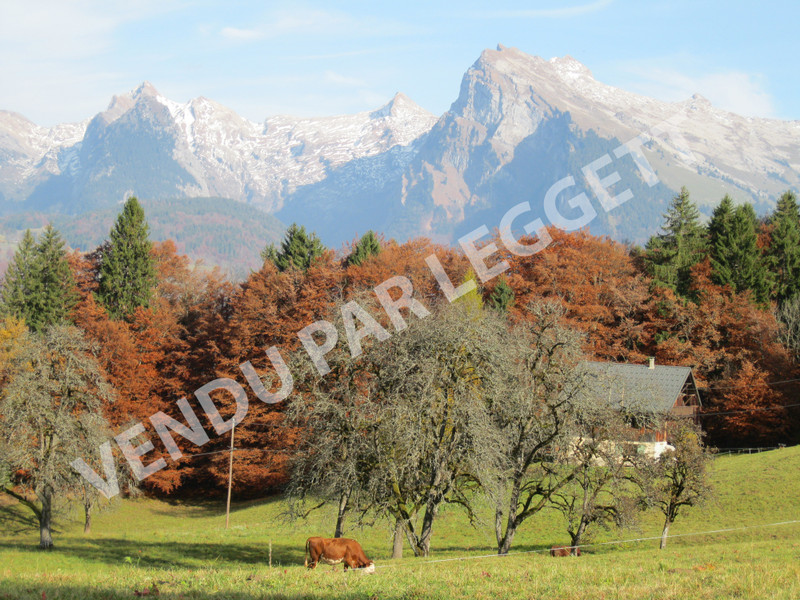 Ski property for sale in Morillon - photo 0