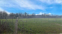 Propriété à vendre à Vanxains, Dordogne - 190 000 € - photo n°3