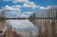 Lacs à vendre à Connerré, Sarthe - 185 760 € - photo 9