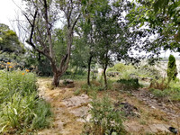 Maison à vendre à Forcalquier, Alpes-de-Haute-Provence - 100.000 € - photo 12