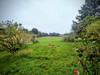 French property for sale in Anché, Vienne - €72,000 - thumbnail 14