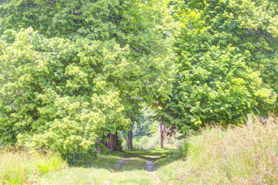 chateau for sale in Aquitaine (Nouvelle-Aquitaine)