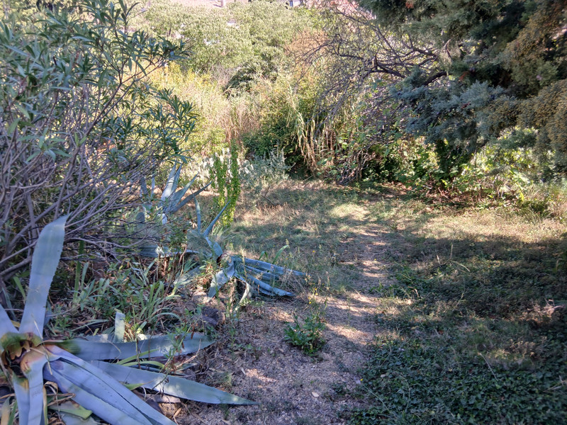 French property for sale in Montouliers, Hérault - €532,000 - photo 7
