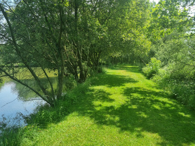 French property for sale in Ruillé-Froid-Fonds, Mayenne - €558,500 - photo 3
