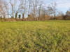 French property for sale in Tourtoirac, Dordogne - €31,000 - thumbnail 8
