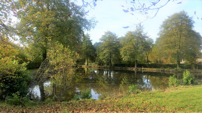 Lacs à vendre à Pré-en-Pail-Saint-Samson, Mayenne, Pays de la Loire, avec Leggett Immobilier