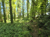French property for sale in Bourbriac, Côtes-d'Armor - €149,330 - thumbnail 14