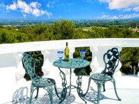 Propriété à vendre à Beaucaire, Gard - 895 000 € - photo n°4