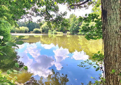 French property for sale in Ceaucé, Orne - €250,000 - photo 1