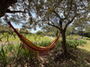 French property for sale in Cotignac, Var - €524,700 - thumbnail 9