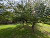 French property for sale in Sainte-Sévère-sur-Indre, Indre - €74,800 - thumbnail 9