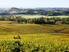French property for sale in Saint-Mont, Gers - €407,000 - thumbnail 9