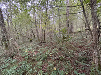 Terrain à vendre à Sanilhac, Dordogne - 26.600 € - photo 3