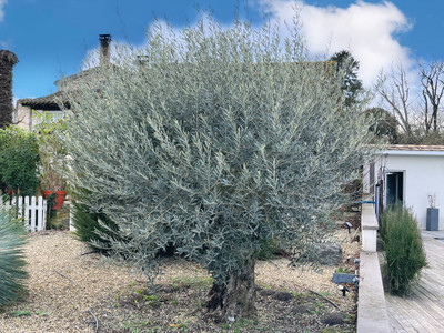 French property for sale in Lavardac, Lot-et-Garonne - €350,000 - photo 2