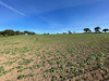 French property for sale in Le Mené, Côtes-d'Armor - €46,600 - thumbnail 14