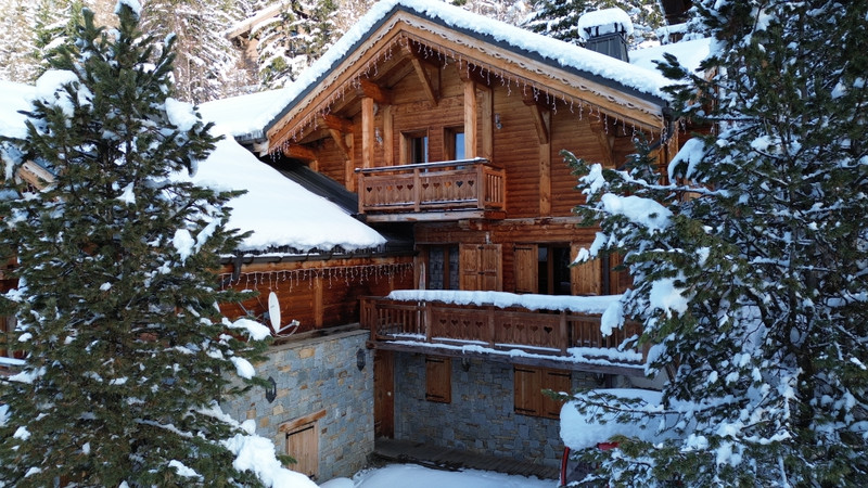 Ski property for sale in La Plagne - €2,950,000 - photo 2