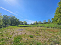 Propriété à vendre à Theneuille, Allier - 250 000 € - photo n°10
