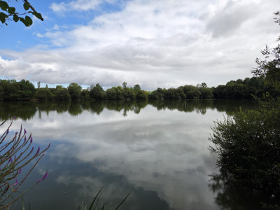 French property for sale in Guipry-Messac, Ille-et-Vilaine - €288,900 - photo 13
