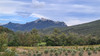 French property for sale in Cucugnan, Aude - €480,000 - thumbnail 9