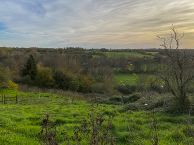 French property for sale in Beaulieu-sur-Sonnette, Charente - €50,000 - photo 3