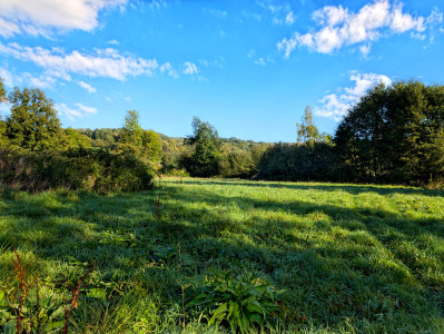 French property for sale in Nogent-le-Bernard, Sarthe - €79,200 - photo 3