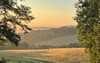 French property for sale in Bars, Dordogne - €565,000 - thumbnail 9