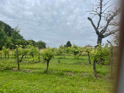 French property for sale in Montpezat, Lot-et-Garonne - €424,000 - photo 9