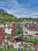 French property for sale in Aubusson, Creuse - €23,000 - thumbnail 14