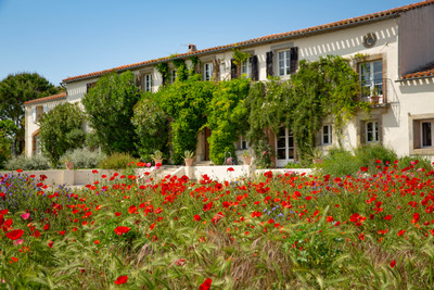 Beautiful domaine nestled amongst hills and vineyards, with pool and gardens 11 mins from Carcassonne airport