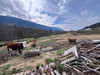 French property for sale in Saint-François-de-Sales, Savoie - €220,000 - thumbnail 10