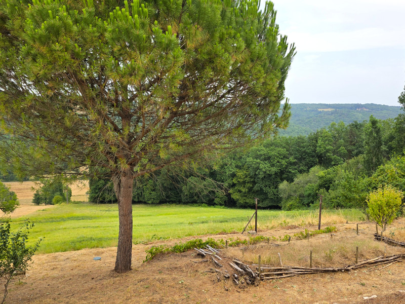French property for sale in Plazac, Dordogne - €453,000 - photo 5