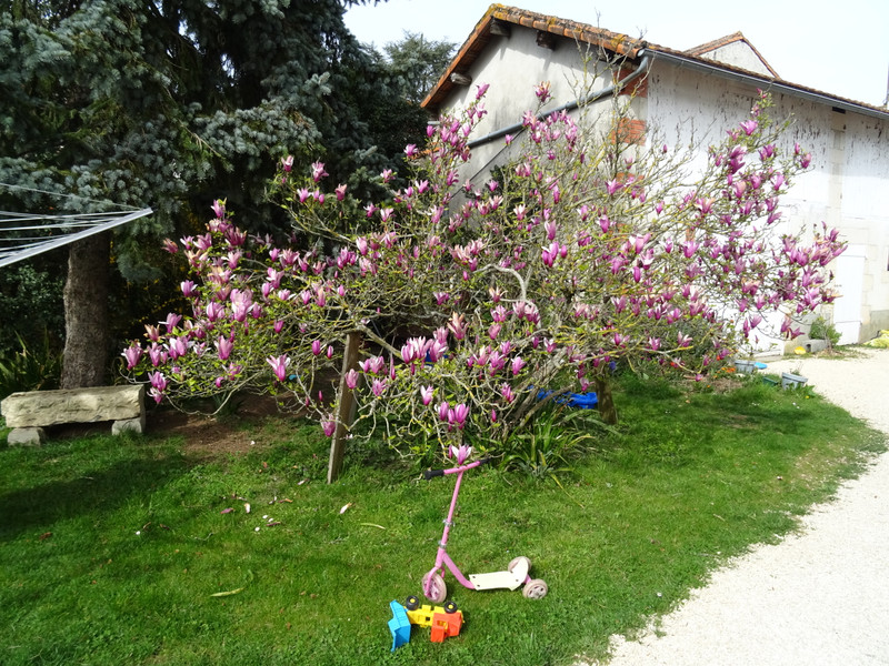 French property for sale in Civray, Vienne - &#8364;371,000 - photo 10