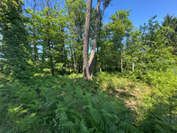 Terrain à vendre à Chancelade, Dordogne - 59.000 € - photo 2