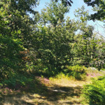 French property, houses and homes for sale in Siorac-de-Ribérac Dordogne Aquitaine