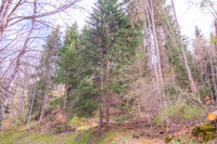 Terrain à vendre à Courchevel, Savoie - 21.600 € - photo 7