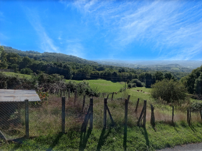French property for sale in Palazinges, Corrèze - €283,550 - photo 8