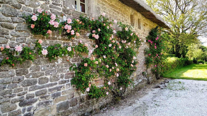 French property for sale in Melrand, Morbihan - €339,200 - photo 7