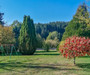 French property for sale in Chénelette, Rhône - €267,000 - thumbnail 9