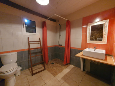 French property for sale in Estang, Gers - €415,000 - photo 7