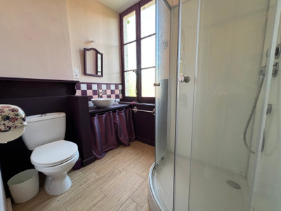 French property for sale in Saléchan, Hautes-Pyrénées - €449,000 - photo 7