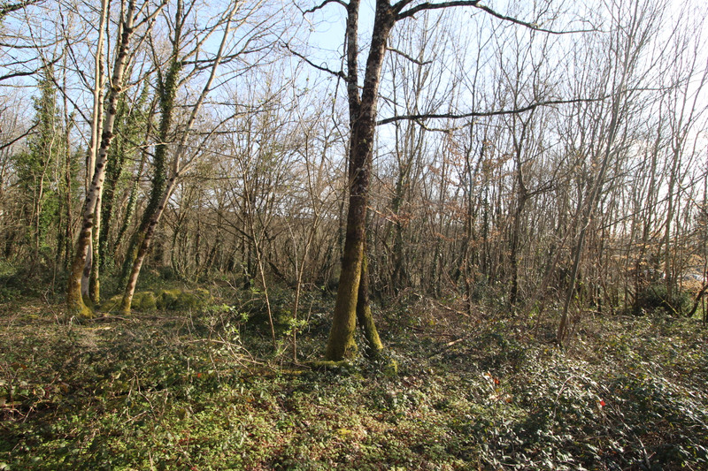 French property for sale in Nieuil, Charente - €20,000 - photo 4