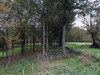 French property for sale in Pressignac, Charente - €75,000 - thumbnail 9