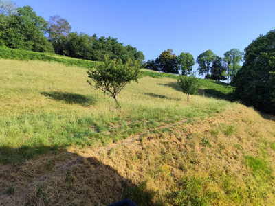French property for sale in Arfeuille-Châtain, Creuse - €245,000 - photo 7