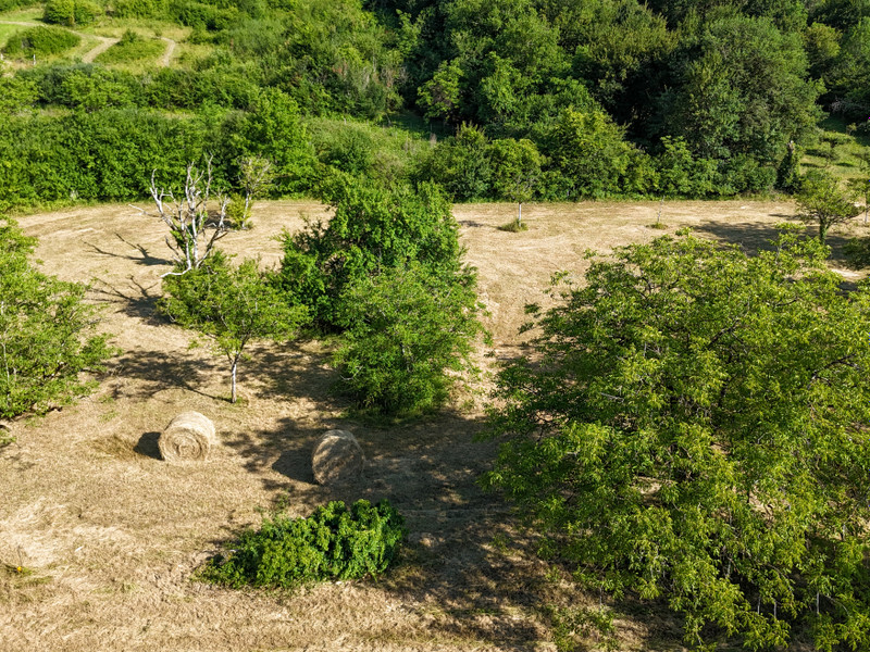 Terrain à vendre à Terrasson-Lavilledieu, Dordogne - 28.500 € - photo 1